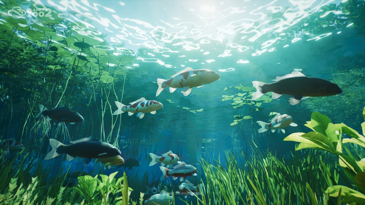 PlanetZooGame's tweet photo. Please be seated for our final animal reveal...

Welcome the koi to your zoos in Planet Zoo 2 on October 13!

Pre-order: https://t.co/IRVC2ABWf8 https://t.co/DvzskRgH4V