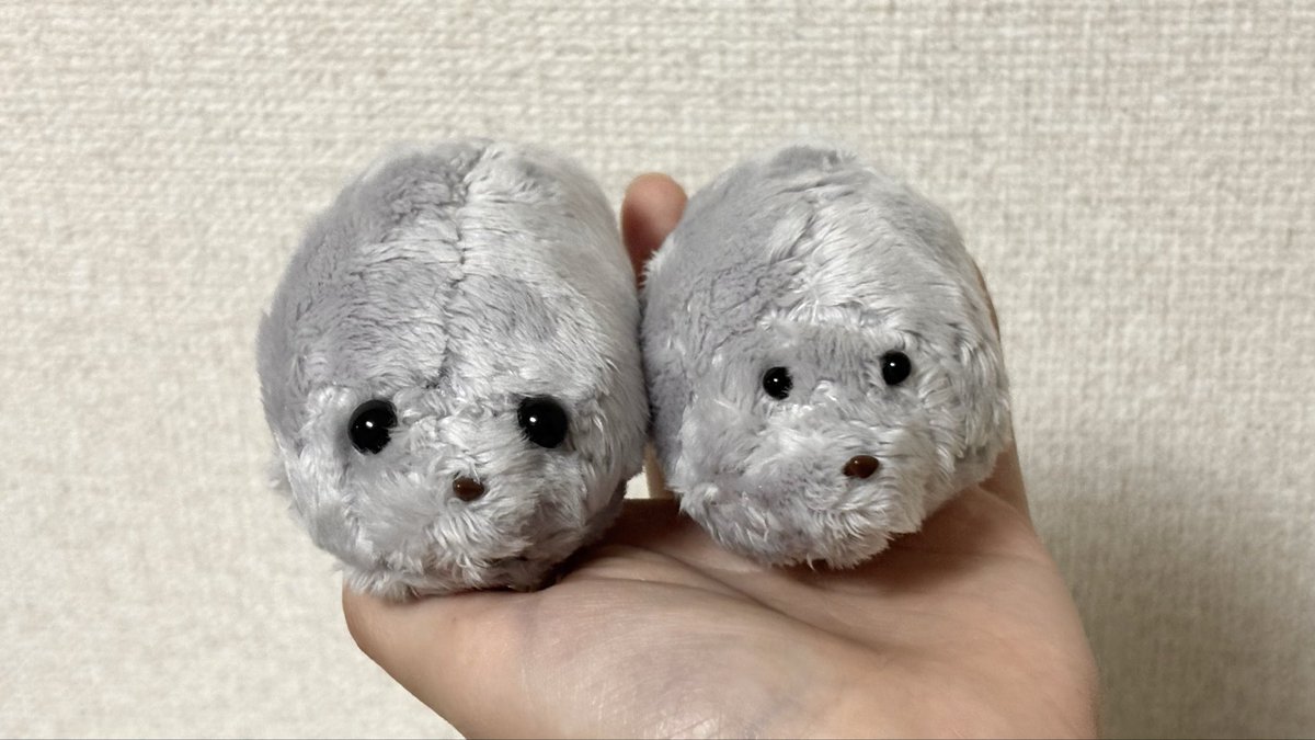 Hanarabi_0001's tweet photo. つくった🪡 #アザラシ https://t.co/7Qum1boh8e
