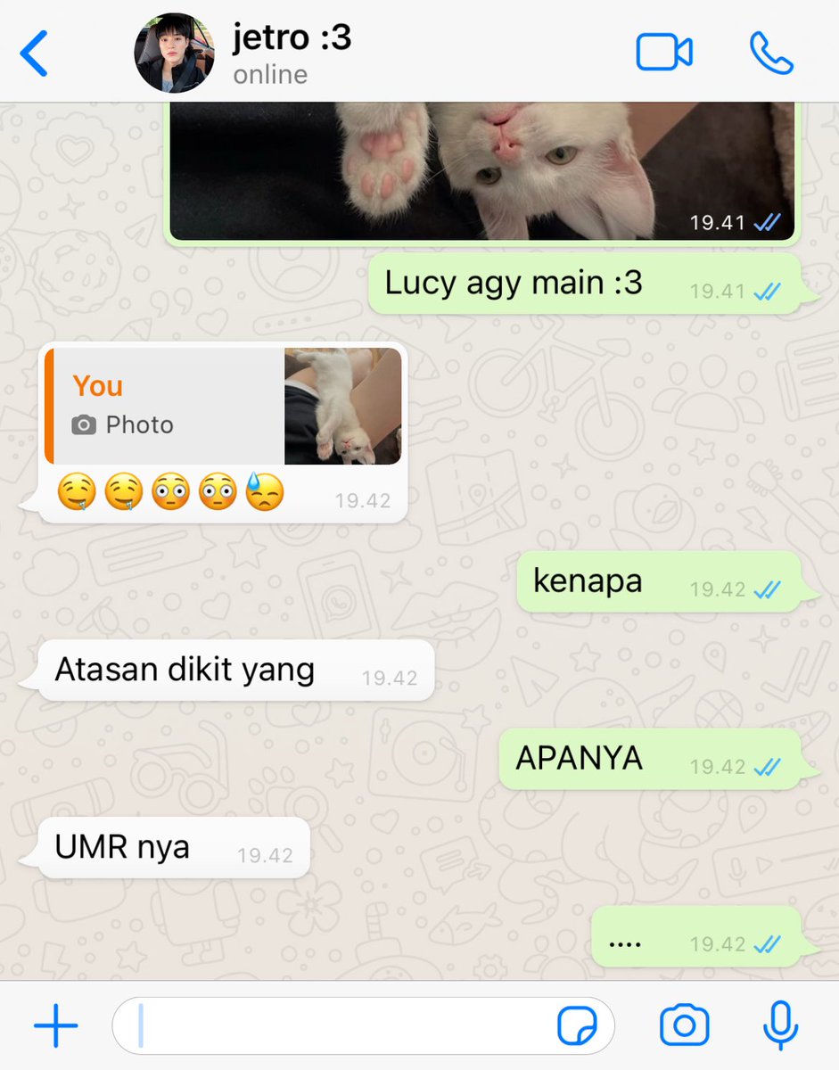 nomsnomin's tweet photo. punya pacar setiap di pap balesannya kayak orang nyawit

a nomin few-tweets au https://t.co/EDAipUaww6