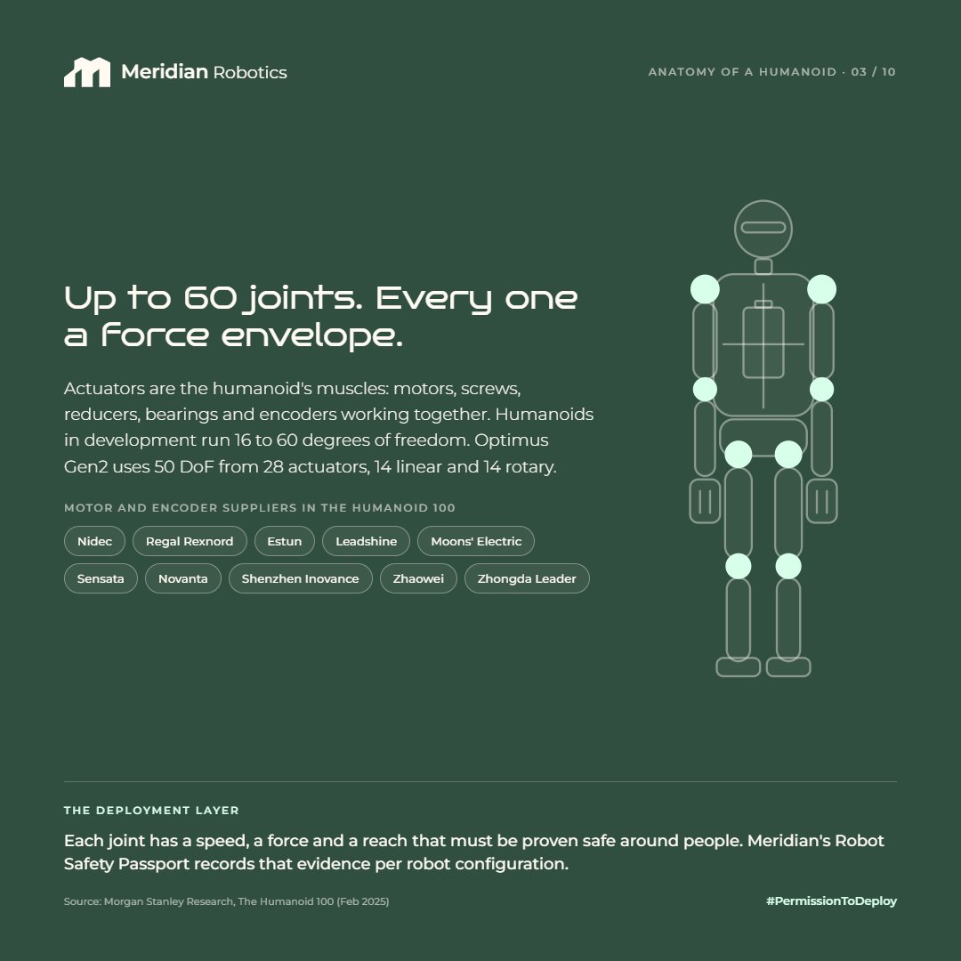 HumanoidPaul's tweet photo. A humanoid is a machine with up to 60 joints, and every joint is a force envelope.

Actuators are the muscles: frameless torque motors, screws, reducers, bearings and encoders. Optimus Gen2 runs 50 degrees of freedom from 28 actuators, 14 linear and 14 rotary. Motors come from Nidec, Regal Rexnord, Estun, Leadshine and Moons' Electric; encoders and sensing from Novanta and Sensata.

Every one of those joints has a speed, a force and a reach that must be proven safe around people before the robot crosses the line into live operation.

Meridian's Robot Safety Passport records that evidence per robot configuration, joint by joint, so a competent person can sign it off and an insurer can rely on it.

#PermissionToDeploy #HumanoidRobotics #FunctionalSafety