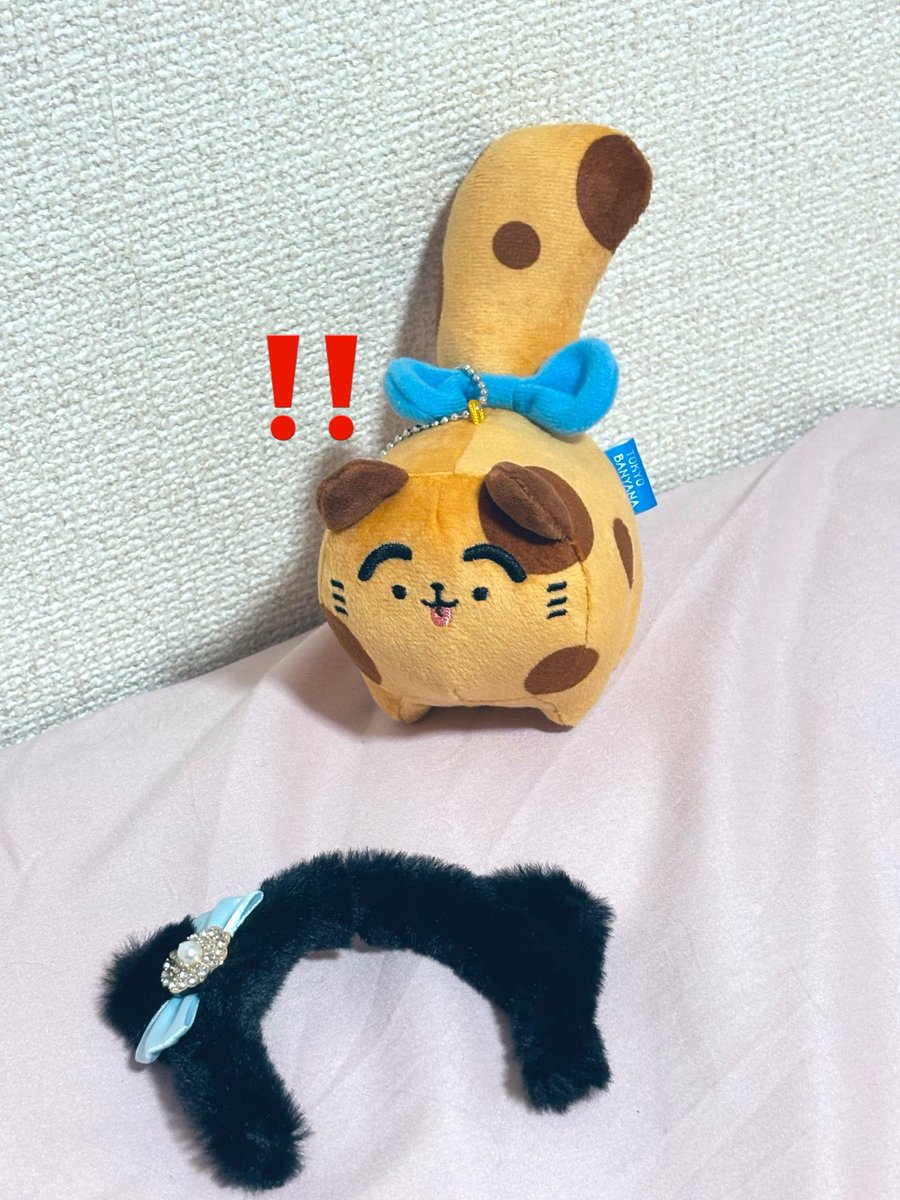 choco1_deco18's tweet photo. 🍪🐕‼️⁉️

🍪🐕ﾈｺｯ……！ﾈｺﾅｯﾀ‼︎💕

🍌🐈ｲﾇﾈｺｷﾞｬｸﾃﾝ https://t.co/SBJvIXjD0V