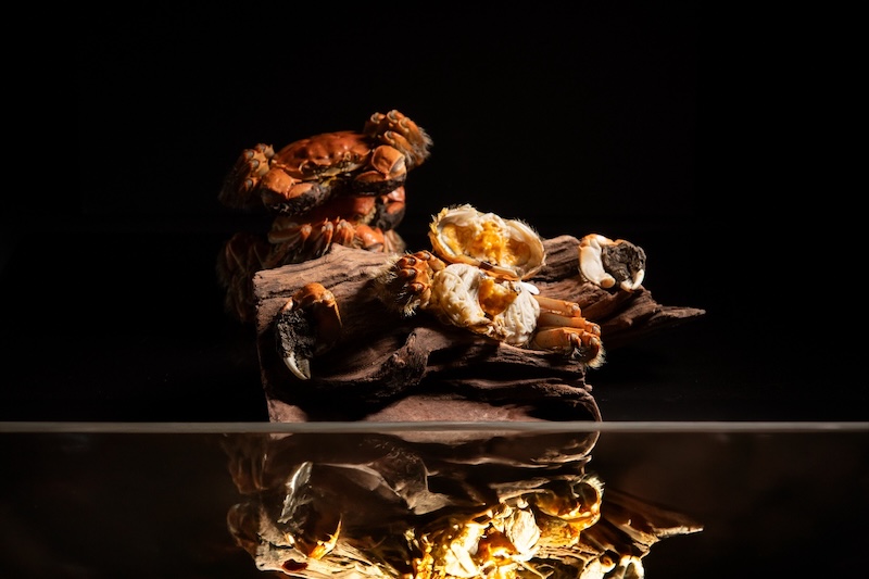AsianItinerary's tweet photo. A Dual Celebration of Crab at InterContinental Grand Stanford Hong Kong https://t.co/4YAUHg77Zq 
#HairyCrab
#HongKongDining
#HoiKingHeen
#InterContinentalGrandStanford
#CrabBuffetHongKong https://t.co/HSOrlJUA3D