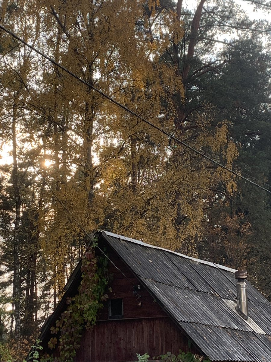 xmeeeet's tweet photo. Отпуск, день 1

Сходила в лес и нашла подходящее бревно, там же освежевала от веток. Это будет вешалка в баню) https://t.co/I78EmtAZ8Y