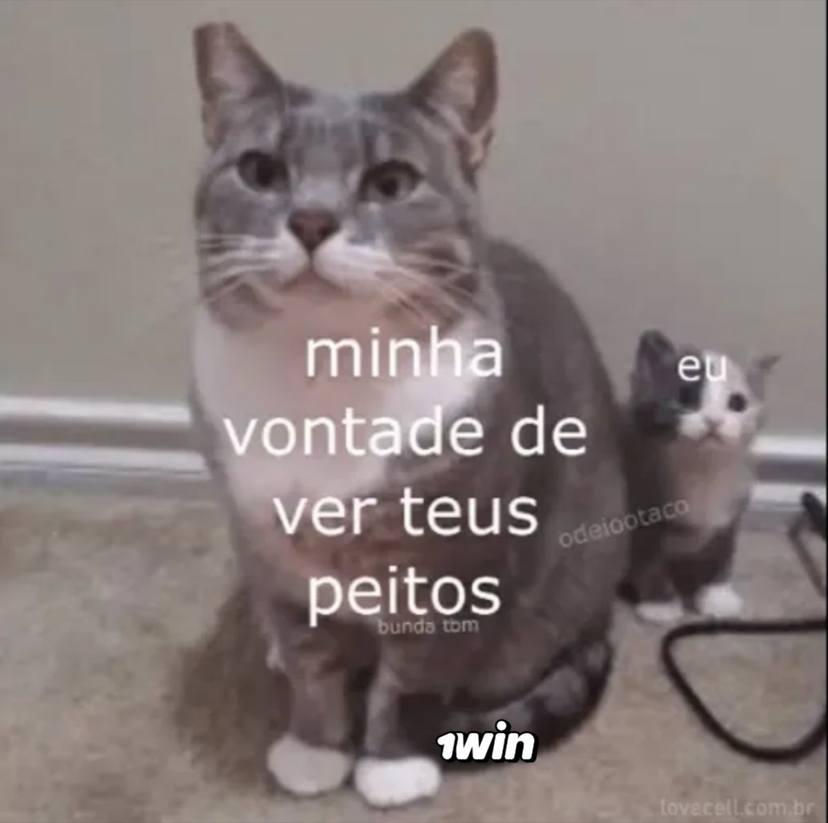 odeiootaco's tweet photo. https://t.co/iSCPgIWgpJ