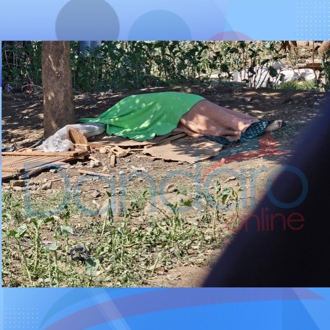 DandaroOnline's tweet photo. #dandarostreets A female roadside vendor has been killed on the spot after a vehicle lost control and crashed into a tuckshop in Budiriro, turning a normal day of business into tragedy.

Police officers and emergency response teams attended the scene as investigations into the fatal crash got underway.

Follow our WhatsApp Channel:
https://t.co/cYTwWjSLzD