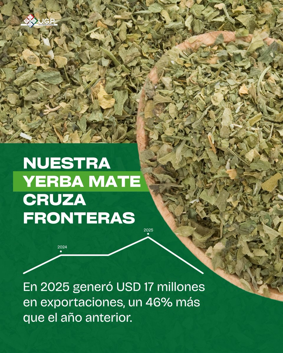 UGP_Py's tweet photo. La yerba mate combina tradición, empleo y desarrollo en el interior del país. En 2025, sus exportaciones generaron USD 17 millones, un 46% más que el año anterior, llevando la yerba mate paraguaya a mercados internacionales.

Fuente: MAG, BCP, Agencia IP https://t.co/j20mpnMez8