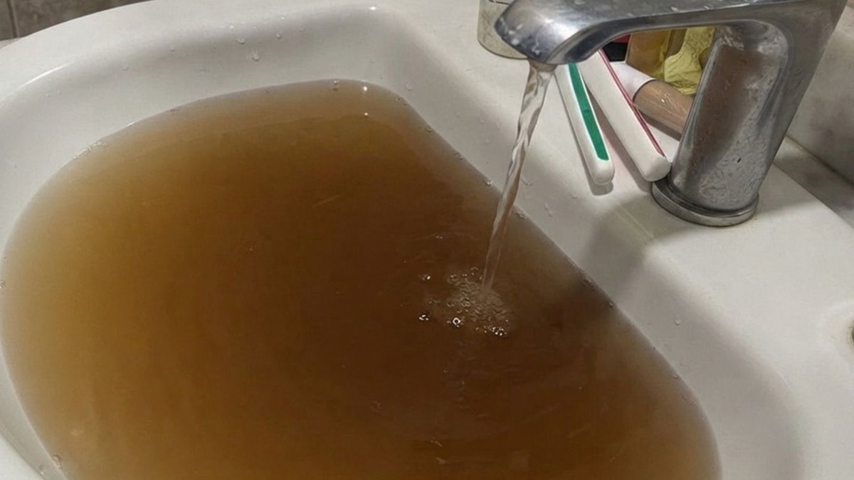 brujasdelmar's tweet photo. Para la ciudadanía, agua puerca.
Para reprimirles, agua limpia.

Eres un fascista de mierda, @PabloLemusN. https://t.co/6ZzO06IQV4