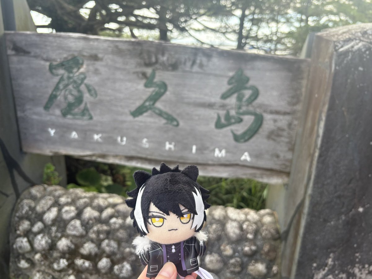 szkszkszk777's tweet photo. ボス〜、ジオゲで遭遇したドラ像だよ〜🐱
他にも色々島巡り🏝️⛰️
 #シエン組 https://t.co/SYLX1VgTM2