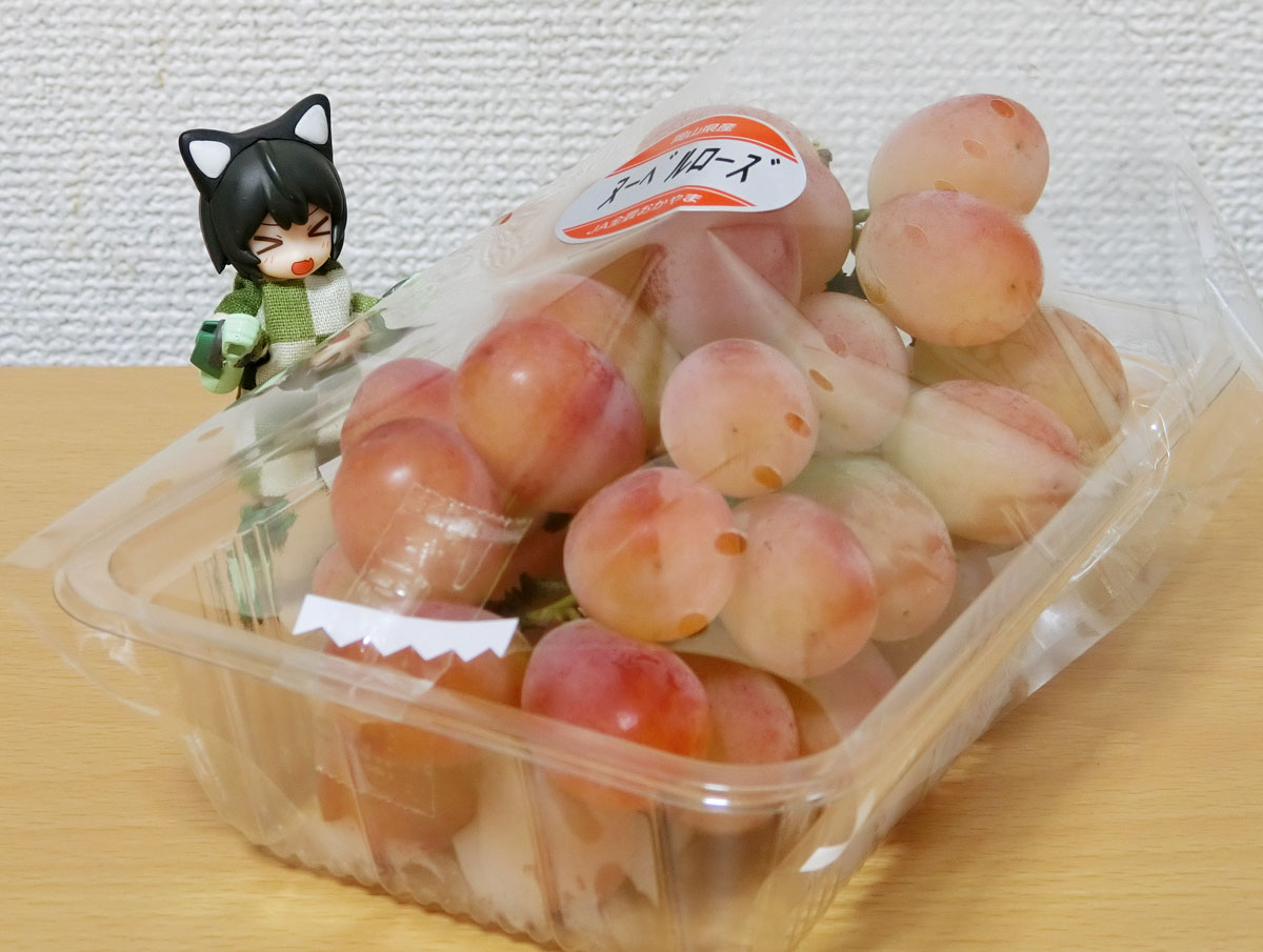 tkhs30932157's tweet photo. 見慣れないぶどうが売ってたのでヌーベルローズを買ってみました。
皮ごと食べられるし香りが良くて美味しい。 https://t.co/5A5D3AX54K