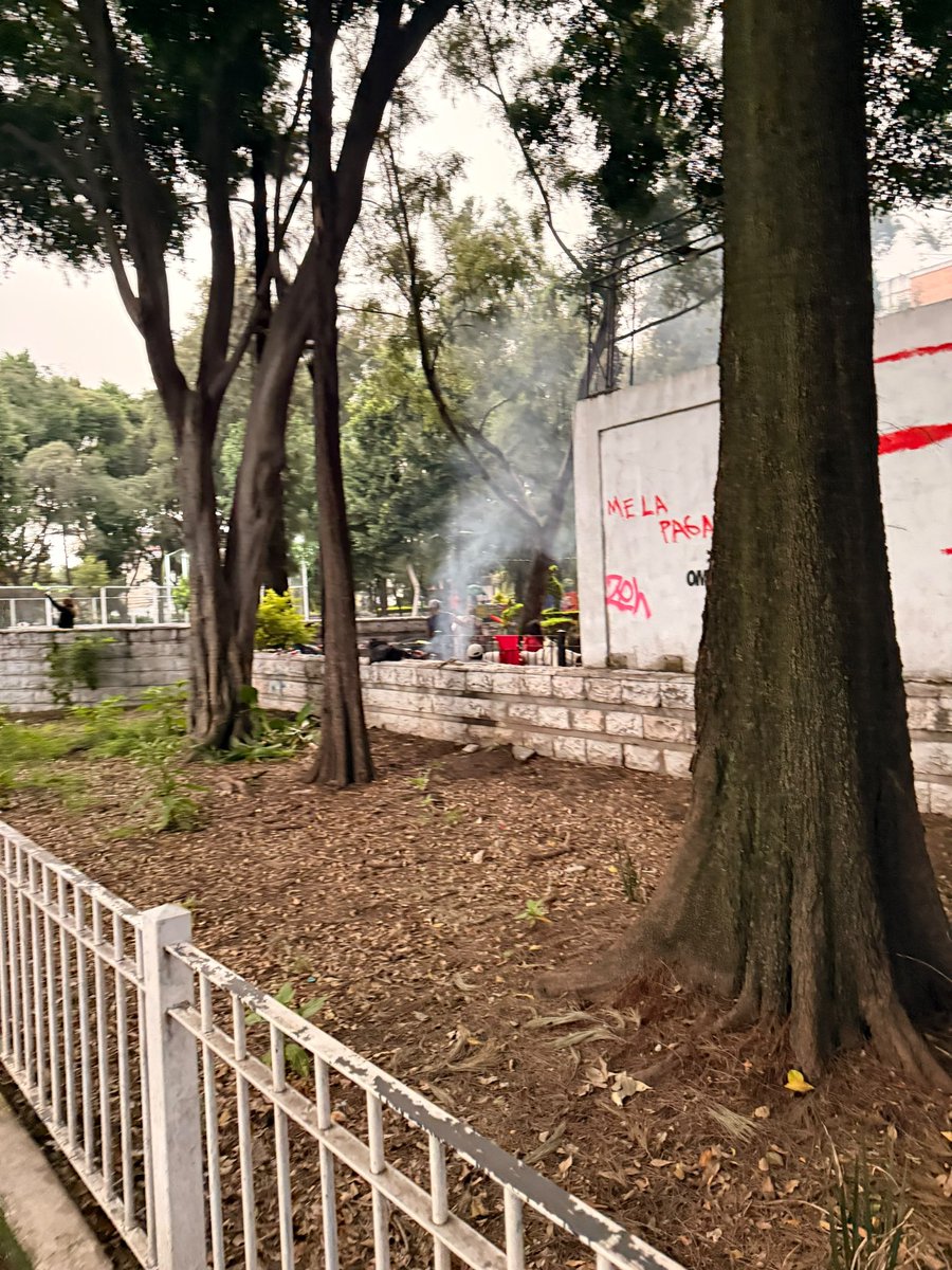 xarxina's tweet photo. @AlessandraRdlv y @AlcCuauhtemocMx en el Parque Dr Ignacio Chavez en la colonia Doctores, indigentes montaron su campamento y queman cosas poniendo en riesgo a las personas. Se requiere atención a esta situación. https://t.co/jX3uMGuzpT
