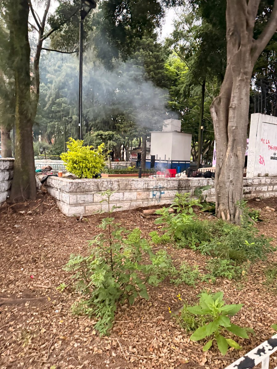 xarxina's tweet photo. @AlessandraRdlv y @AlcCuauhtemocMx en el Parque Dr Ignacio Chavez en la colonia Doctores, indigentes montaron su campamento y queman cosas poniendo en riesgo a las personas. Se requiere atención a esta situación. https://t.co/jX3uMGuzpT