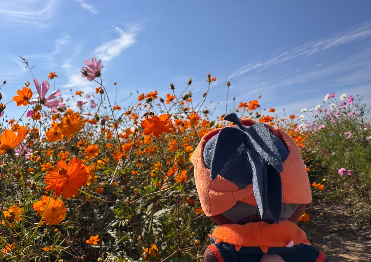 0730_swindler's tweet photo. 久々に12時間以上外に出てた笑 https://t.co/f0PAorIsMi