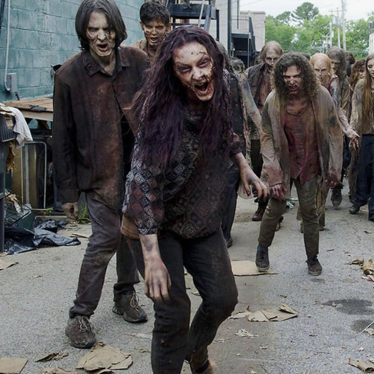 mspbra's tweet photo. 🚨 Flávio Bolsonaro disse que lamenta as cenas de “The walking Dead” protagonizadas por petistas na Paulista https://t.co/Nh5xsxaWrk