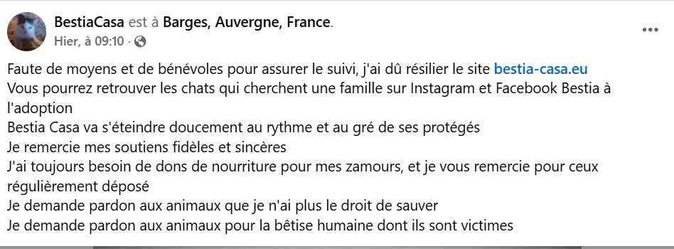 justineducern's tweet photo. L'asso BESTIA CASA qui prenait en charge des vieux chats, malades, handicapés doit fermer par décision de la DDPP de son dépt .21/08/26. Décision minable 🤬, elle avait accueilli des vieux chats malades de notre asso pour les sauver de l'euthanasie et ils y étaient si heureux https://t.co/kHKhGz2gT7