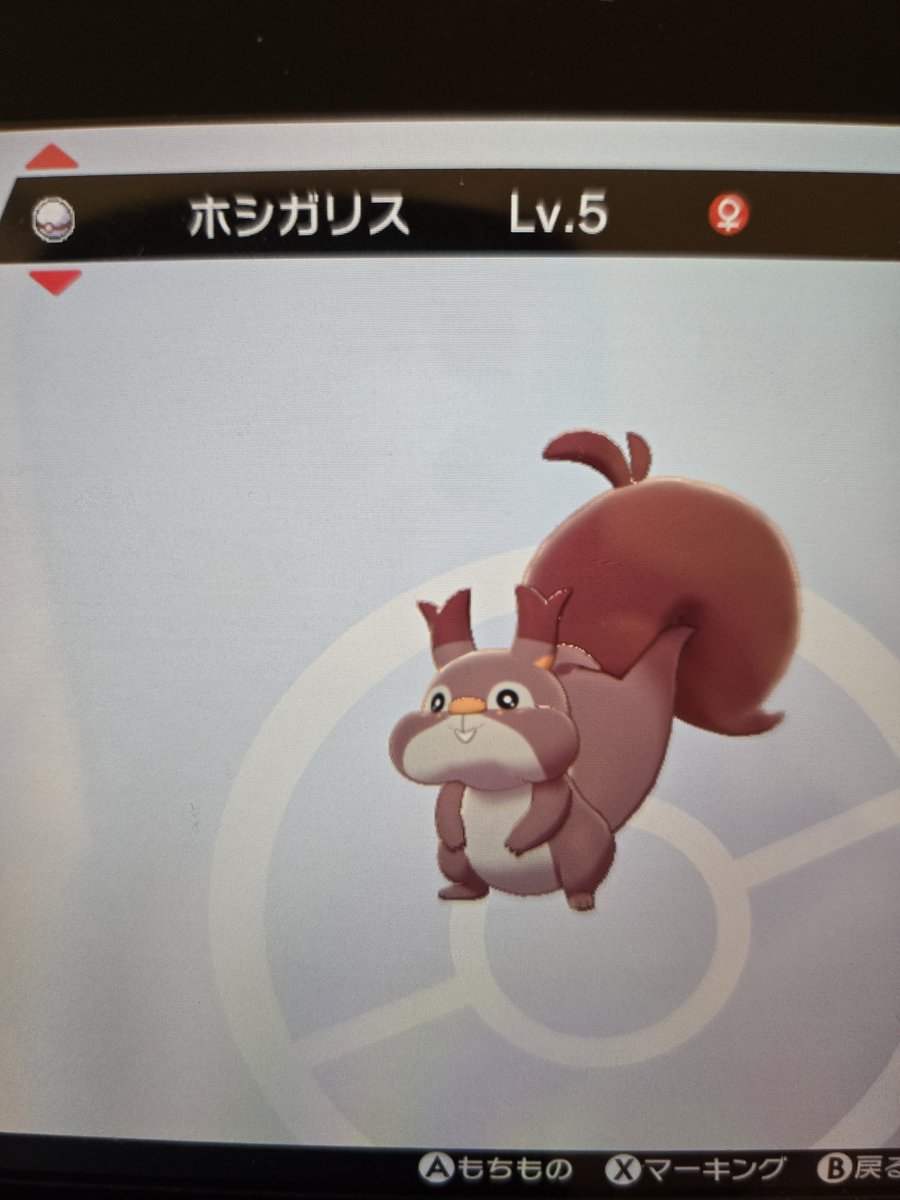 metaishi's tweet photo. ポケモン盾で初めて色違い出せた
197回目だった https://t.co/fItz8AN4Ct