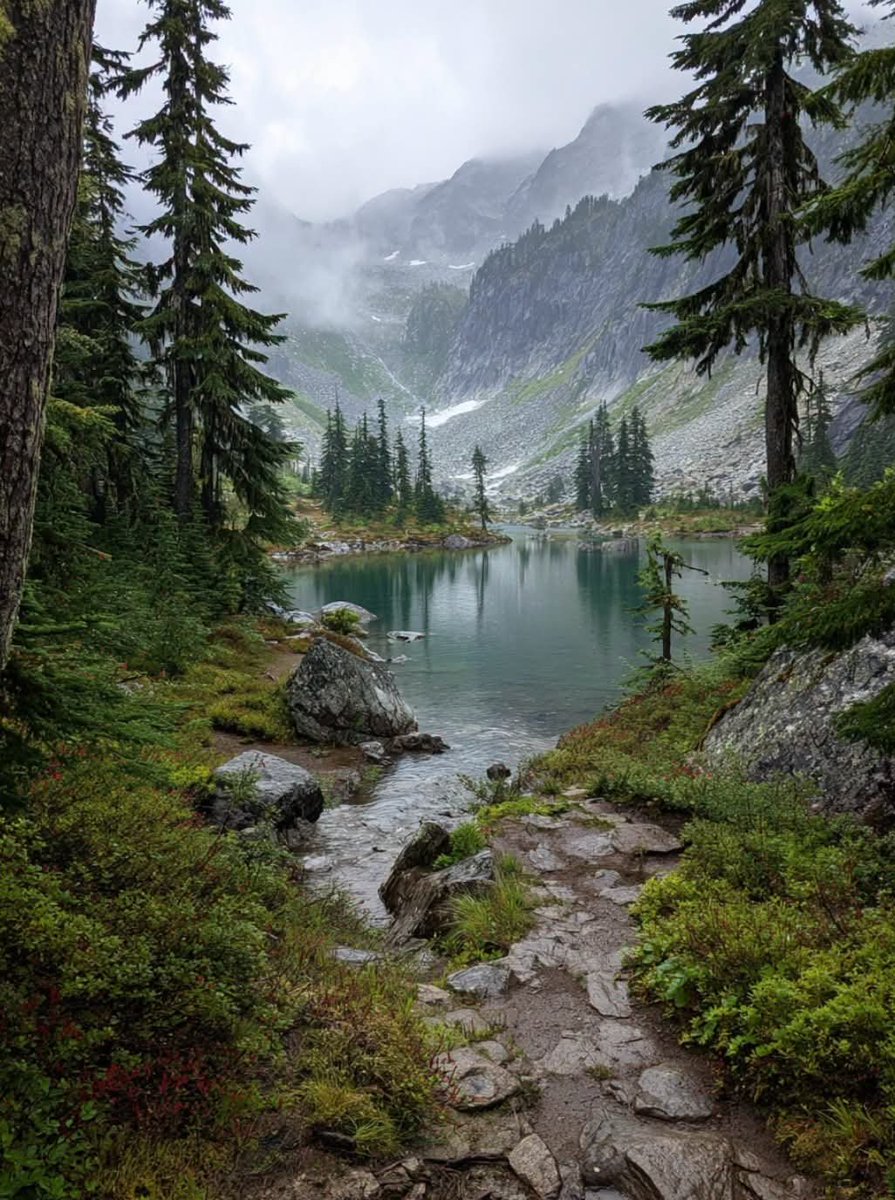 worldclick56's tweet photo. The mood after rain 🍃 https://t.co/9SaaVQ8c3j