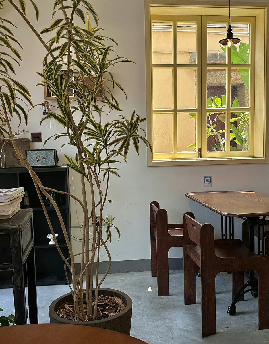 susannadouvu's tweet photo. 「目が覚めたら閉じ込められた部屋で、欠伸をしながら古い章を読んでいた。胸が熱くなって、自分を守るために誰かを捍ったんだ——それが最初の勇気だった」 https://t.co/AAVw1ut5PM