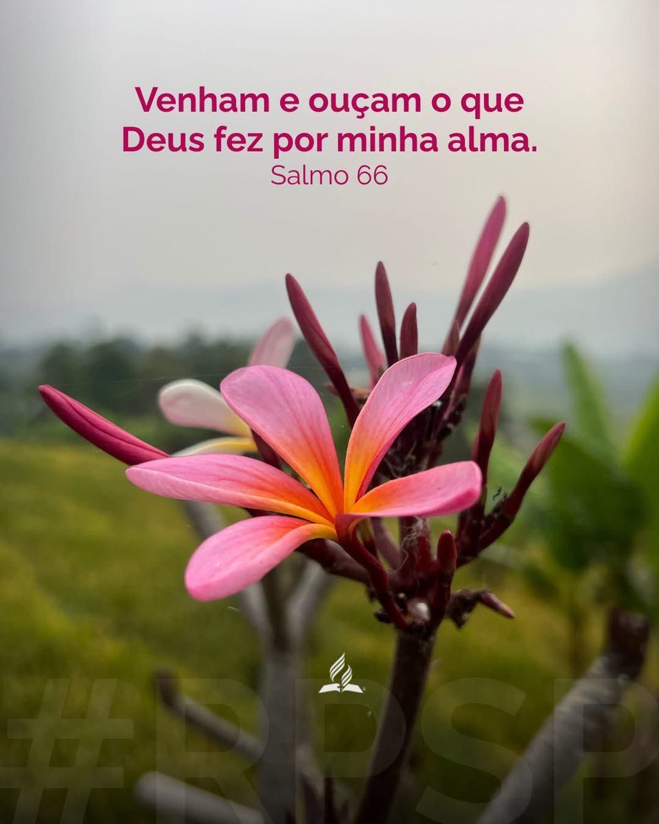 PrErzonA's tweet photo. A oração do #Salmo66 ensina que o louvor e a gratidão são essenciais para um relacionamento profundo com Deus. Ao reconhecer as obras do Senhor, fortalecemos nossa fé e aprendemos a confiar n’Ele em todas as circunstâncias. #PrimeiroDeus https://t.co/9UI2RwOuF7
