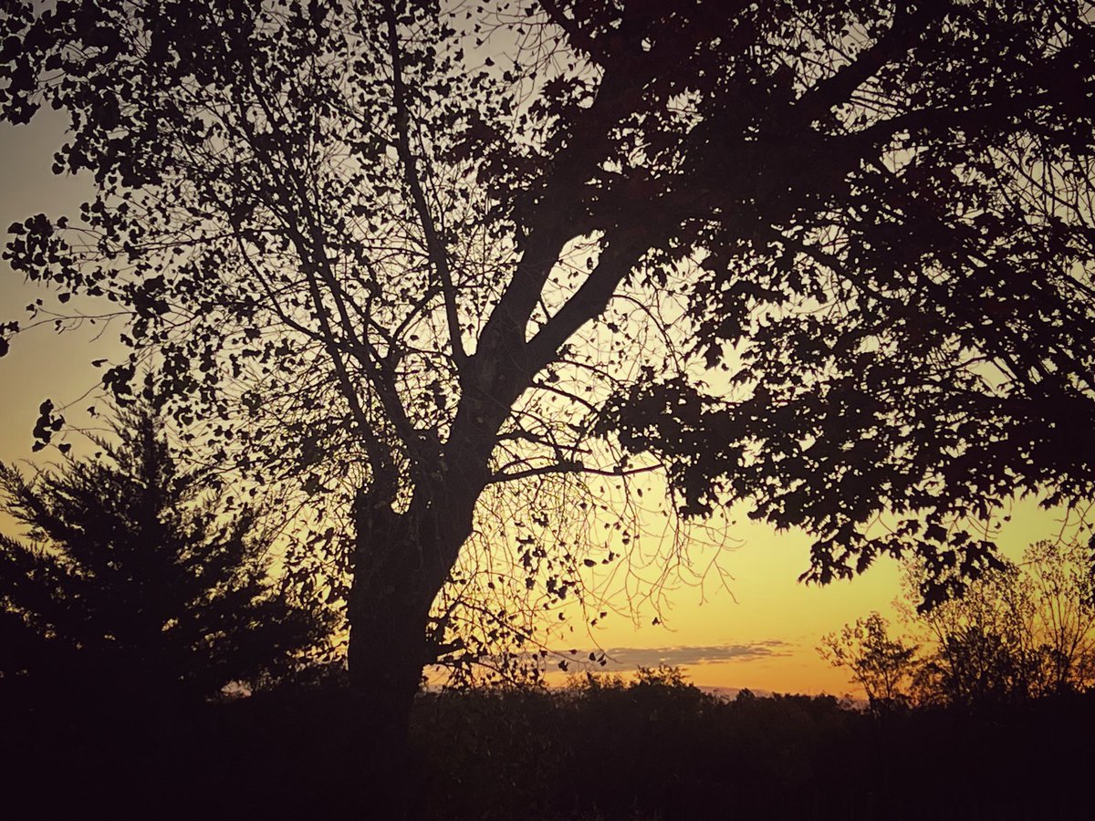 karenmcamp's tweet photo. Good fall morning! #sunrise #autumn https://t.co/ezqWwKd4JH