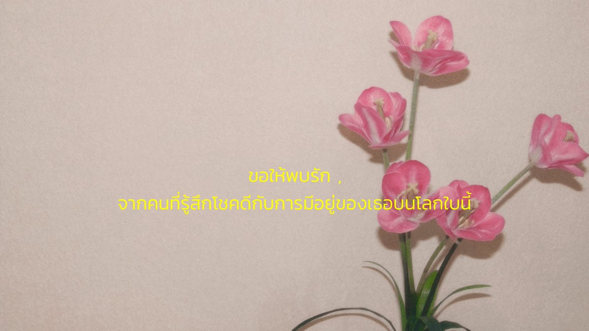 23jpeg's tweet photo. ขอให้ได้พบ https://t.co/QDccurMU6X