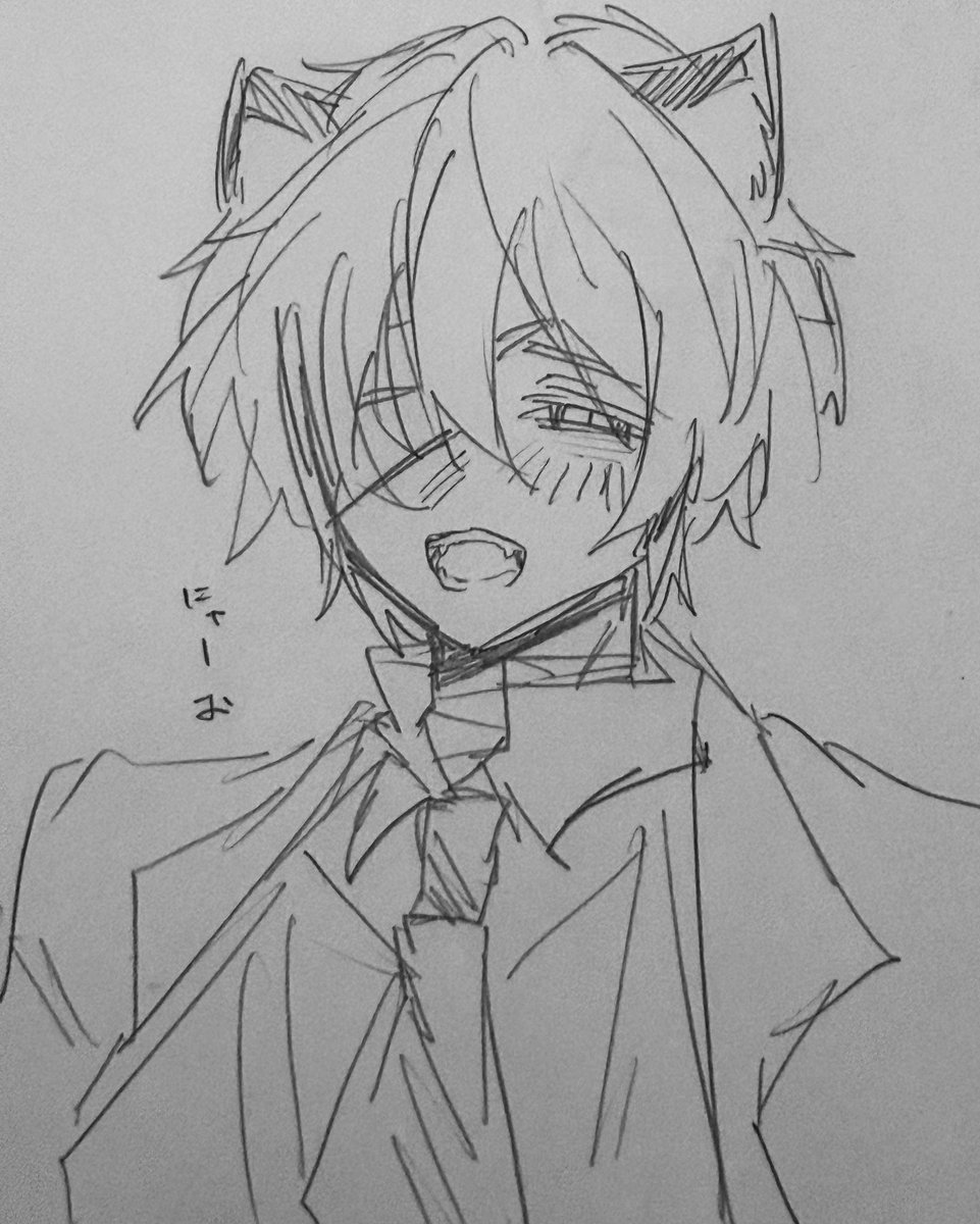 shin_lcy10's tweet photo. にゃー🐈 https://t.co/q4IfSlluIO