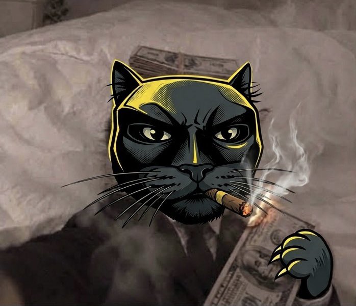 BatcatNight's tweet photo. Batcat is in early stage.
Still building.
Join the community if you want updates.
Like and reply so I know who’s interested https://t.co/XAaT7L4rhn