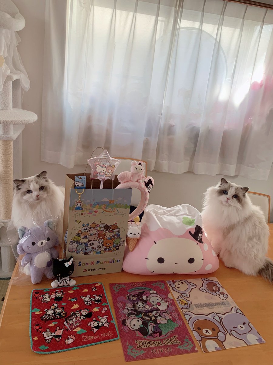 411hoshi's tweet photo. 初めまして富士急ハイランド✨️サンエックスのエリアができたということで10月10日に行ってきた〜🚗³₃ご飯食べる所はリラックマの形のお部屋みたいな場所に座れとにかく可愛かった🧸💖 カチューシャはシャッポにしたよ🐰💖園内多分ぐるーって回って観覧車乗ったり🤭グッズたくさん買ったよね🙌🏻 https://t.co/oUEr5lIhy4