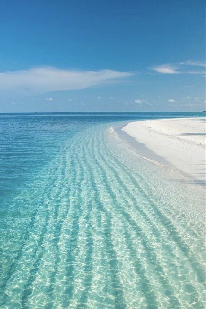 lunecrumbss's tweet photo. blue serenity https://t.co/wD6AI6BR7J