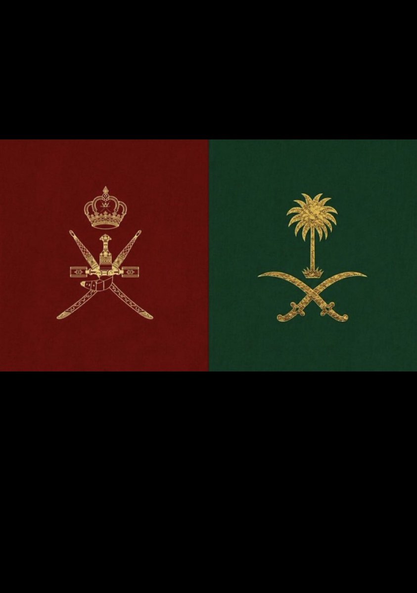 llill1s's tweet photo. السعودي عماني و العماني سعودي ما يهمني اي حساد يحاول يدس السم فالعسل 💚❤️ https://t.co/fFBdbB7its