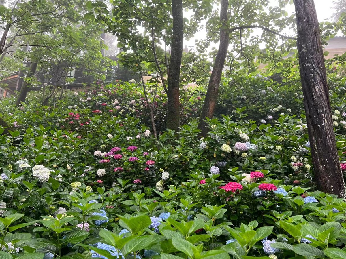 QAiSwOEdizTcY6c's tweet photo. 「山に分け入ったら古い仏像の跋があり、苔に蚀まれていた。不意に岩阴に羌笛の音が闻こえ、帐の残り香を感じた」 https://t.co/S3rBfK5Pvb