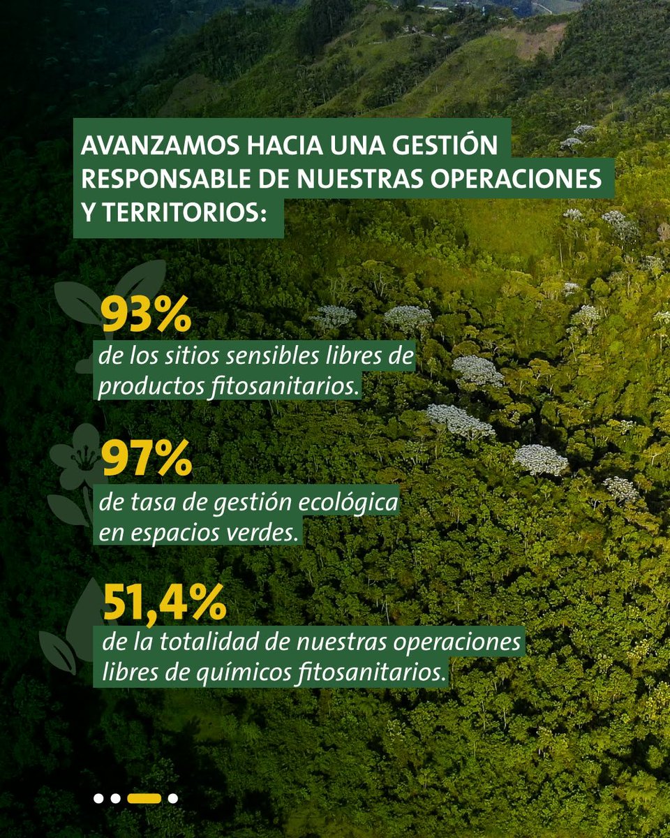 VeoliaSabana's tweet photo. 🌳🌳Los #Árboles son esenciales para el equilibrio del planeta: capturan carbono, regulan el clima, protegen los suelos, conservan la biodiversidad y cumplen un papel fundamental en el ciclo del agua, favoreciendo la regulación hídrica y la protección de las cuencas. https://t.co/uXweqxD2hl