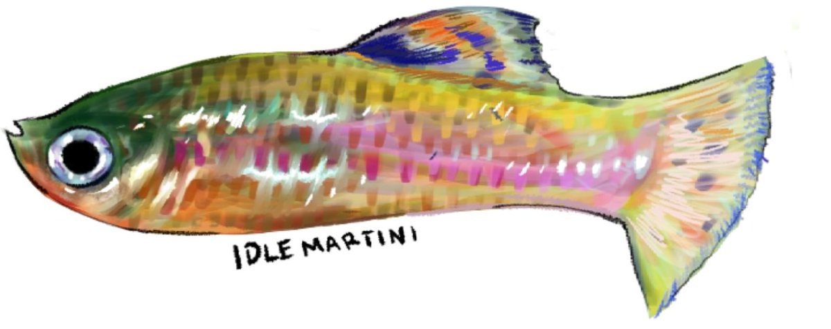 IdleMartini's tweet photo. Fish I freestyled from ref #art https://t.co/lWkELyVtiU