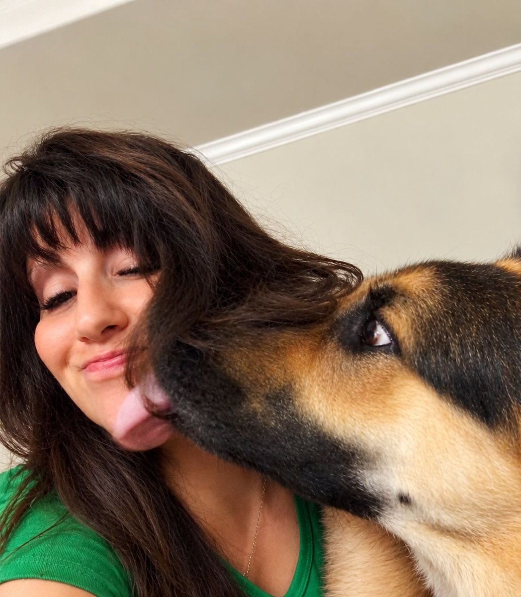 GermanSheprdMom's tweet photo. Personal space, what's that?

And I wouldn't have it any other way. https://t.co/e9gfLNrxnn