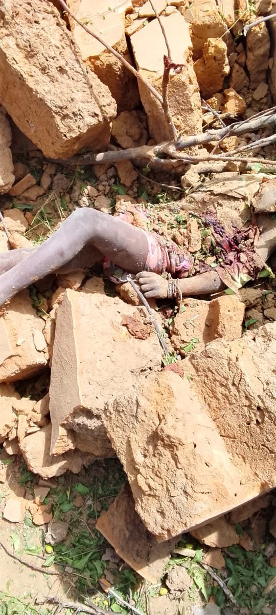 oumaragg's tweet photo. Les @DirpaFa ont exécuté des civils dont des femmes et des enfants à zanakonroni.

Parmi les victimes il y a des femmes enceintes. https://t.co/KcnZKRzdta