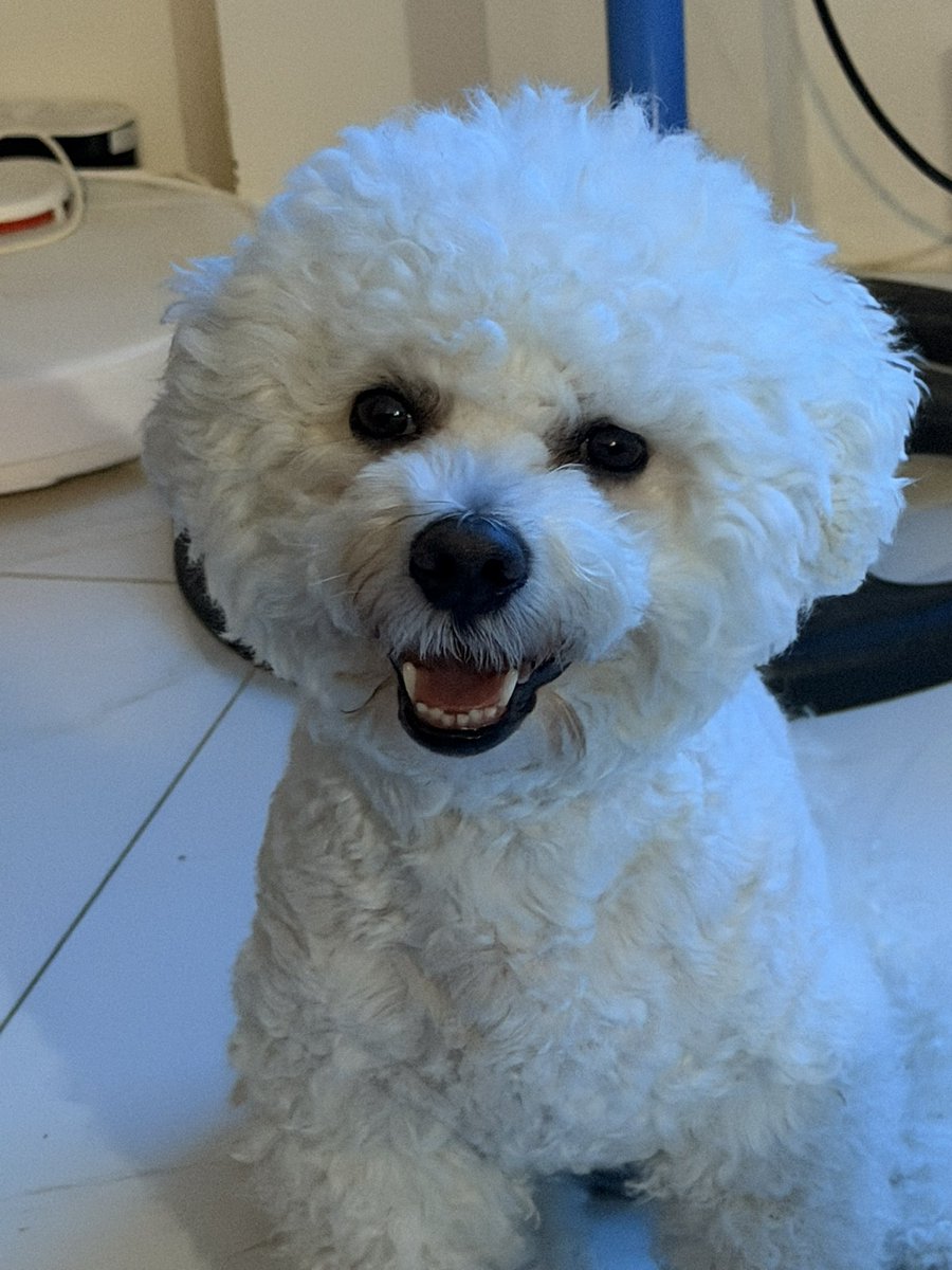 AdichoYam's tweet photo. Hello, Can we ask for a red heart? My mom said we need lots of it so we can have lots of treats, new toys, new clothes, diapers and vitamins. https://t.co/YMQC8Jeb8o