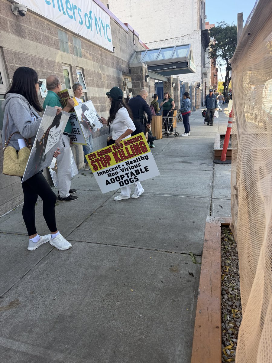MoishesMom's tweet photo. Another protest is scheduled for this Friday October 16th at 1:00 pm at the Animal Care Center (ACC) of NYCACC’s Manhattan location (326 East 110th Street in Manhattan). 

This is a follow up to the first protest that occurred on Saturday, October 3, 2026.

This protest is a response to the NYCACC’s policies & procedures which result in the senseless killing on a daily basis of numerous healthy, adoptable dogs. NYCACC needs to stop killing healthy adoptable dogs & cats. 

Let me know if you’re interested in attending.