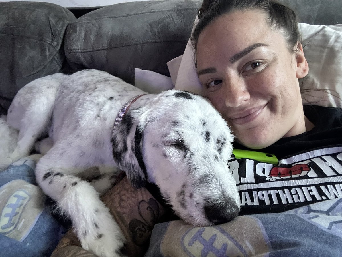 ronniedohertyy's tweet photo. Happy Thanksgiving from my Mom & I ๐ค Super grateful for always being a pillow for me to sleep on, not getting extremely mad when I eat her underwear and giving me my 2 siblings I can play w (terrorize) every day ๐โโฌ
#grateful #gobblegobble #turkeyday #snugglebuddies #sleepygirls https://t.co/7ljFKzmhkK