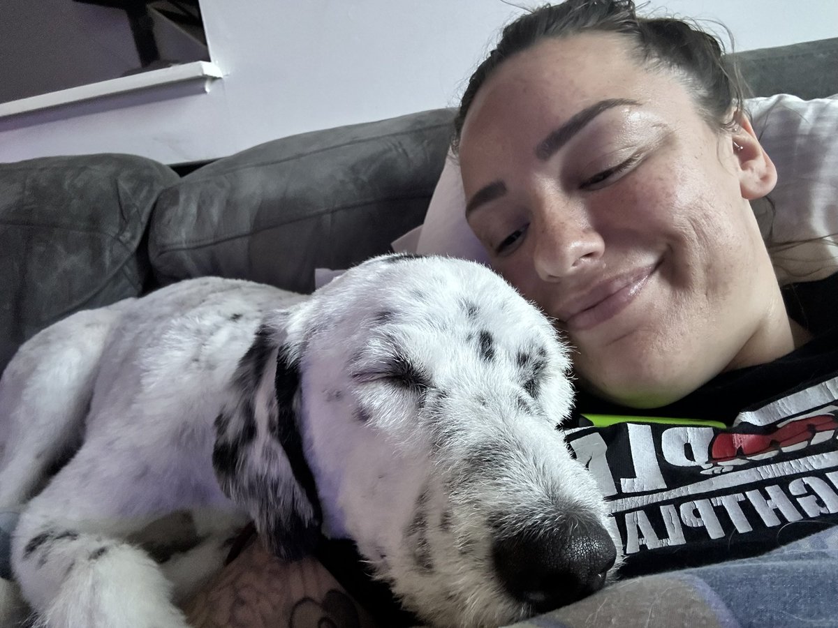 ronniedohertyy's tweet photo. Happy Thanksgiving from my Mom & I ๐ค Super grateful for always being a pillow for me to sleep on, not getting extremely mad when I eat her underwear and giving me my 2 siblings I can play w (terrorize) every day ๐โโฌ
#grateful #gobblegobble #turkeyday #snugglebuddies #sleepygirls https://t.co/7ljFKzmhkK