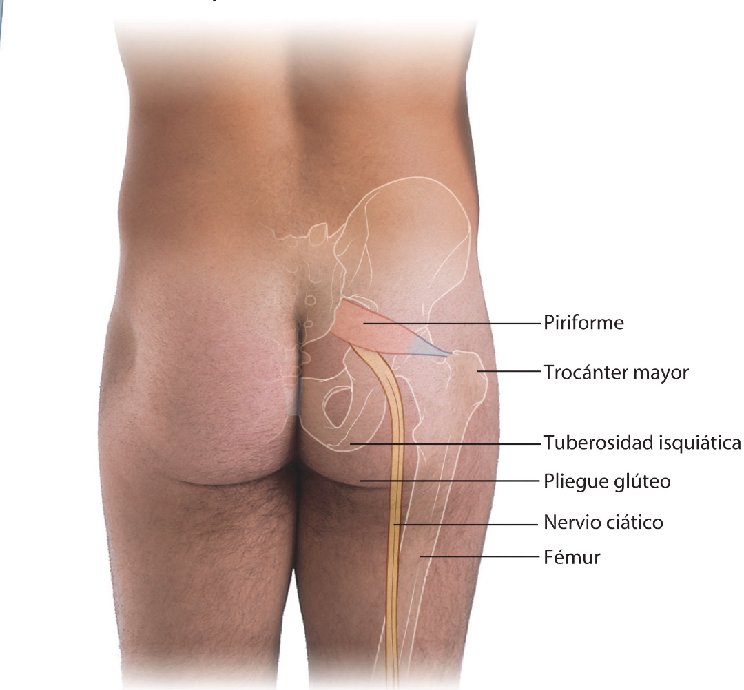 PasionAnatomia tweet picture
