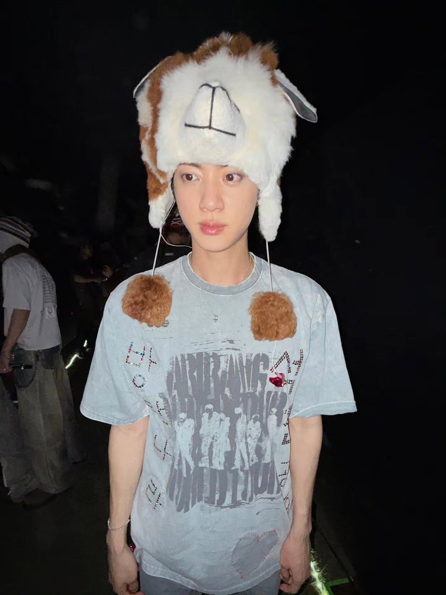 seokjinfile's tweet photo. ALPACA JIN 🦙 https://t.co/k7nlzuO1ff