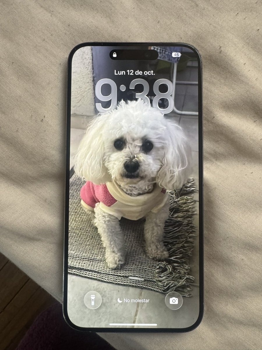 JJuanitamayorga's tweet photo. 🚨CELULAR ENCONTRADO EN ROCK AL PARQUE🚨

Mi hermana se encontró este celular en una caseta dentro del Simón Bolívar, pero no abre ninguna notificación porque está en No Molestar :( es un iPhone pro Max plateado. https://t.co/SAn1qiqYGB