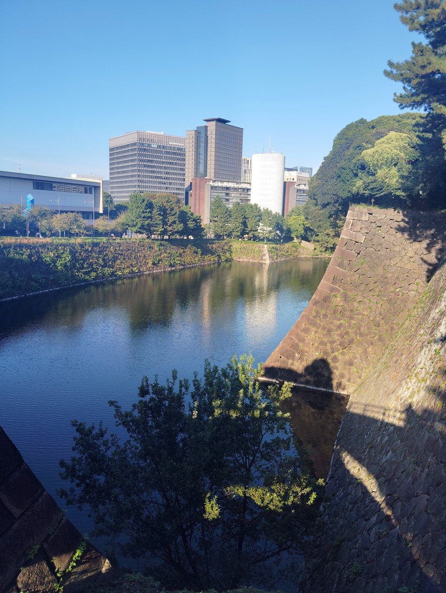 Miuchn17325's tweet photo. 連休最終日❗
なんかあっという間に過ぎていったな〜旅して楽しんだからいいけど💕日常の3日間よりはるかにスピードが早く感じる❗
皇居東御苑なんかを渋めに見てきてカフェタイム☕歴史をみながら散策悪くないな〜 https://t.co/qDhky1NdCR