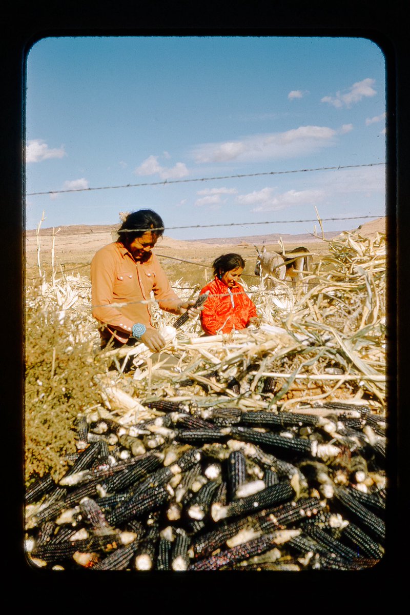 OliverWDahl's tweet photo. On this Indigenous Peoples Day, I wanted to share some Kodachrome slides I’ve collected featuring the beautiful Diné (Navajo) people around Monument Valley. https://t.co/kW96P3ivRI