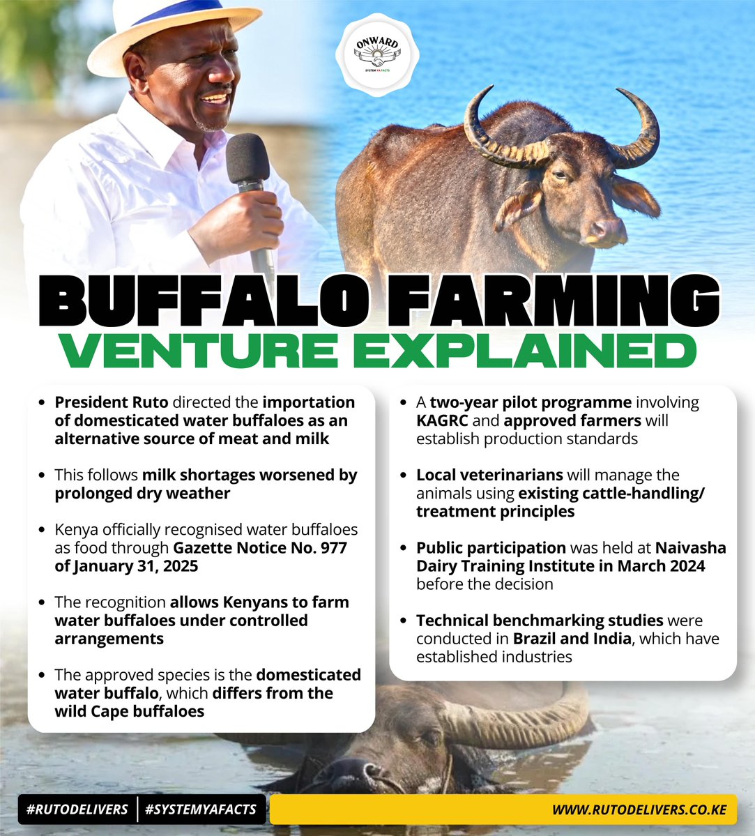 Ms_wanjii's tweet photo. Transforming Agriculture, Expanding Opportunities,Water buffalo farming could diversify livestock production, boost milk and meat supply and create new income opportunities for Kenyan farmers. #Agriculture #BottomUpEconomicTransformatio #buffalomilk https://t.co/uDBGRK3JP5