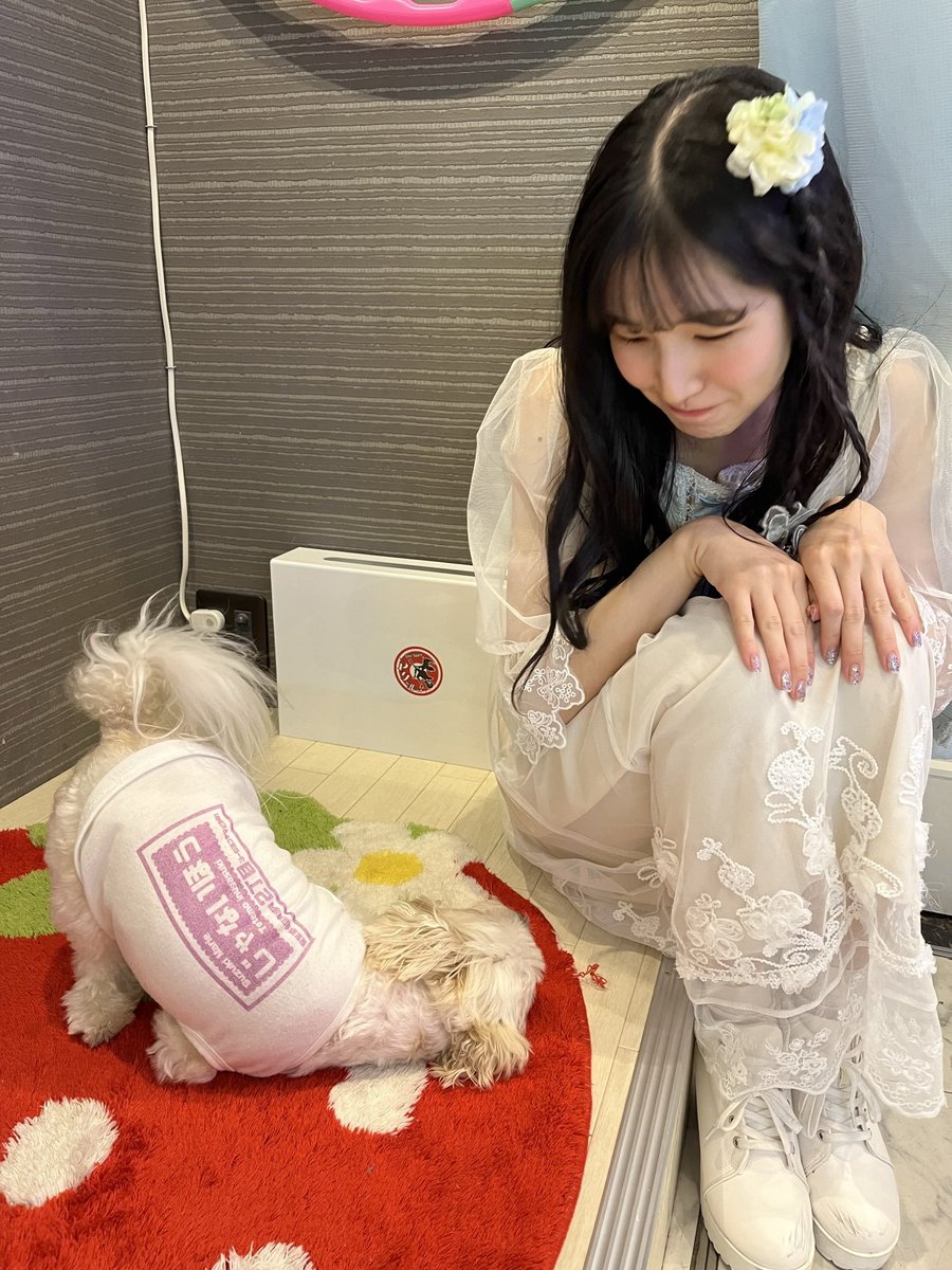 yuna_eco's tweet photo.  ︎︎
3年ぶり3回目の マリー店長 🩷
病気を乗り越えた元気なマリー店長に会えてよかった…︎︎︎︎😭︎︎︎︎❤︎

本日、マリールーに会いに来てくれた皆様
ありがとうございました ✨✨

ユナおチェキも嬉しいです️⭕️️⭕️

🐶 3枚目、4枚目は ライブ出演した時の 過去pic.. https://t.co/zR7QofyENT