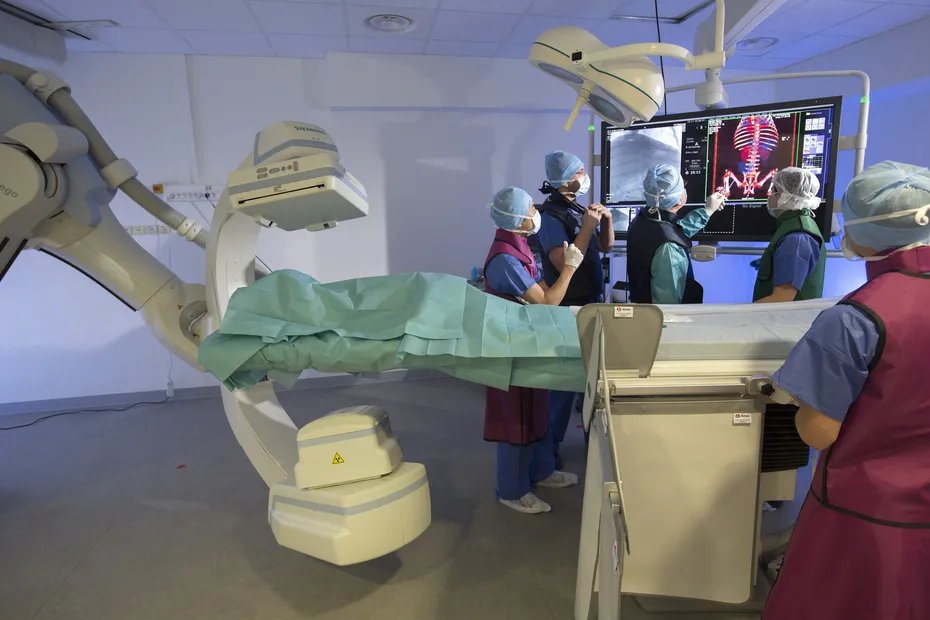 F3Alsace's tweet photo. Affaire des cochons à l’IHU de Strasbourg : le proche d’un patient cancéreux dépose plainte, "on veut savoir qui sont les responsables de cette déprogrammation" https://t.co/aF02qNpBAU https://t.co/sglP56xJfc
