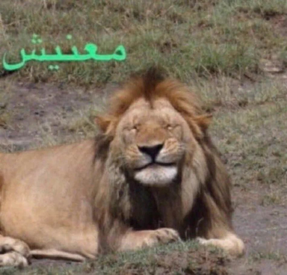 JustSomeSapien's tweet photo. اخلاق الفارمسي بالاعياد لك عليها https://t.co/Xz1Bgb5apW