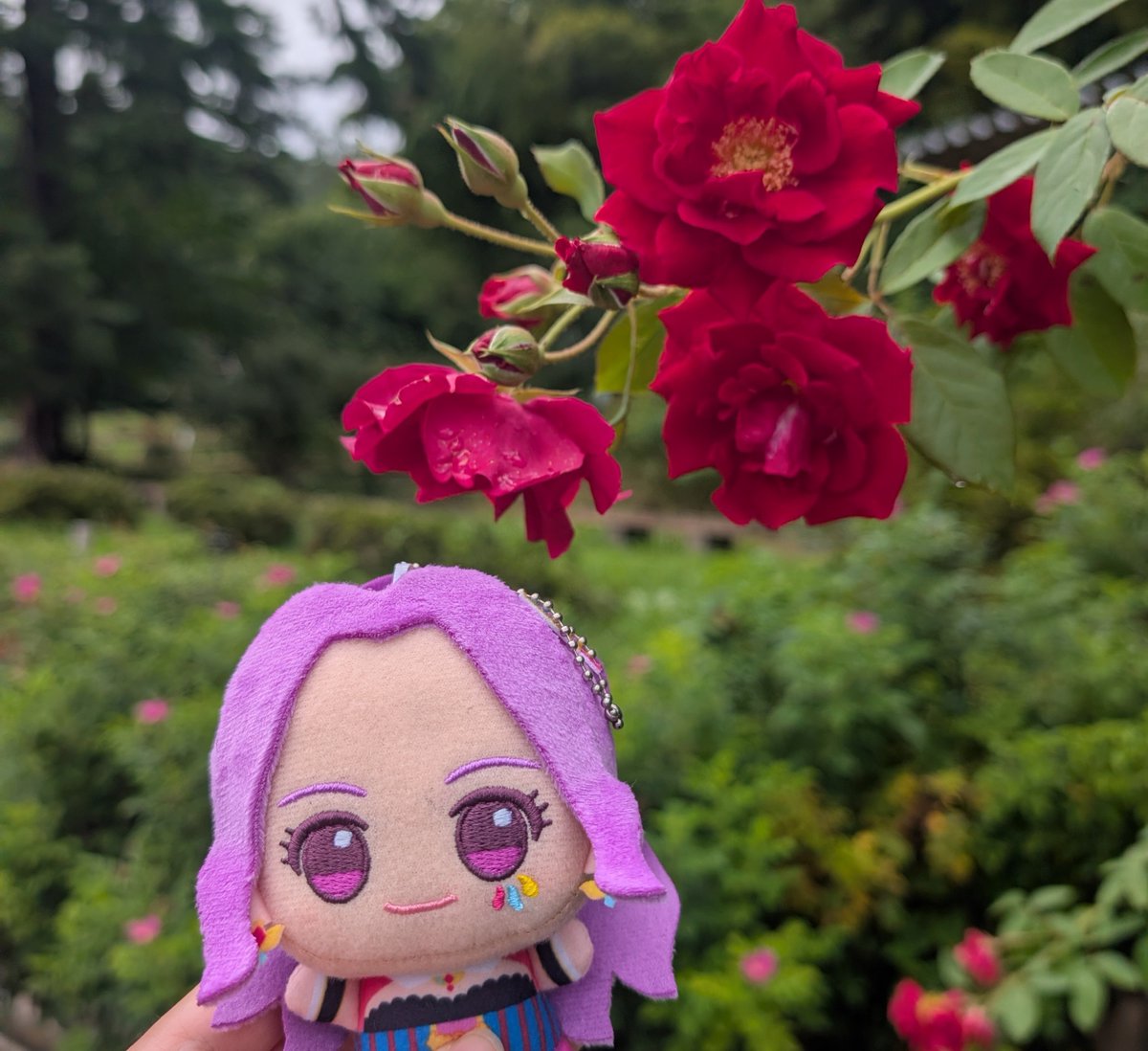 mizu_860's tweet photo. #私と仲良い自信がある人は引用RTで一言メッセージくれたら泣いて喜ぶ

有言実行！見かけたのでやってみます https://t.co/ykzP8pUeui