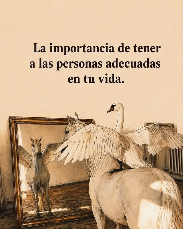 Espacio_Frases's tweet photo. https://t.co/hr6qJpnJyy