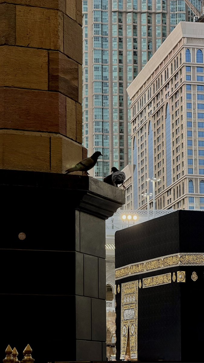iJrain3's tweet photo. "حماكِ ربُّ السما، يا مهبطَ الحَرَمِ
وأدامَ فيكِ أمانًـــا ما لهُ أَمَـــدُ!" 🤍 https://t.co/fzfTbDzx9x